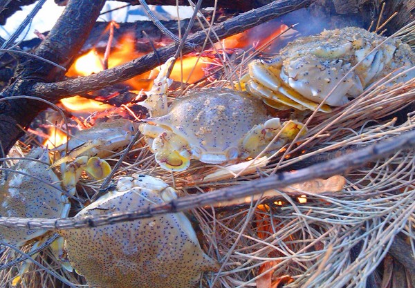 Cúm núm sa huỳnh